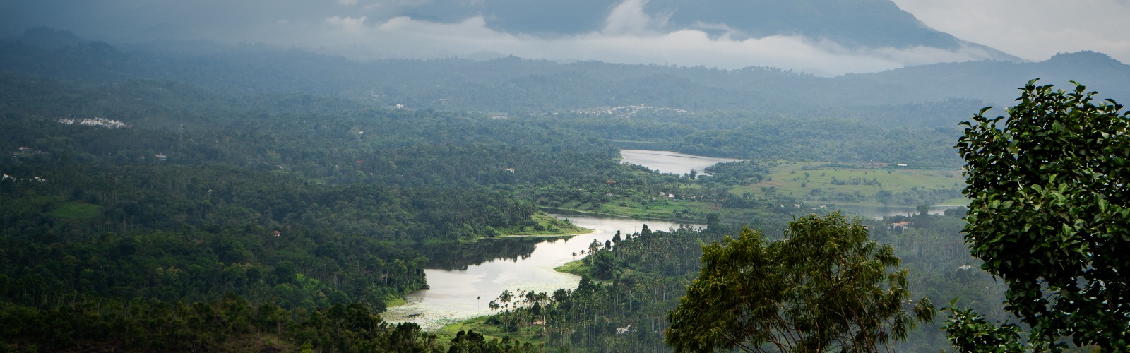 Luxury resorts in Wayanad